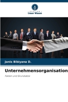 Unternehmensorganisation (German Edition) 6209741770 Book Cover