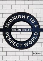 Midnight in a Perfect World 1943977534 Book Cover