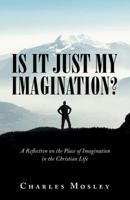 Is It Just My Imagination?: A Reflection on the Place of Imagination in the Christian Life 1543461999 Book Cover