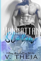 Manhattan Storm 1089477740 Book Cover