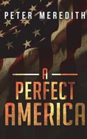 A Perfect America 0990522229 Book Cover