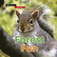 Forest Fun 0711244197 Book Cover
