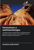 Variazione e sedimentologia (Italian Edition) 6208591759 Book Cover