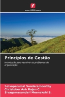 Princípios de Gestão: Introdução para resolver os problemas de organização 6204526065 Book Cover