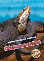 Cottonmouths 1626179832 Book Cover