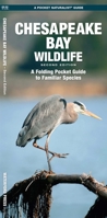 Chesapeake Bay Wildlife 1583556761 Book Cover