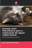 Energia solar fotovoltaica para a exploração de águas subterrâneas 6206977358 Book Cover