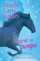 Horse in Danger (Sandy Lane Stables) 0794539157 Book Cover