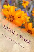 Until I Wake 1481895710 Book Cover