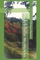 Indelebilis memoria (Italian Edition) B0DTF48TQQ Book Cover