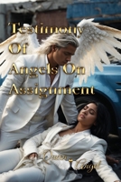 Testimony of Angels On Assignment B0CJLTX7DW Book Cover