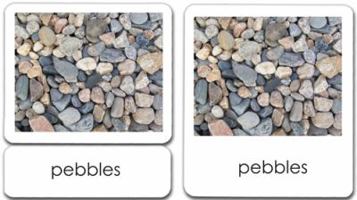 Non-Living 3-Part Reading Cards B0019ZHCG0 Book Cover