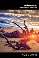 Driftwood (Wordcatcher Modern Poetry) 1789422167 Book Cover