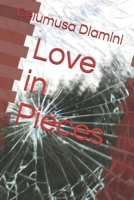 Love in Pieces B0FV4D514M Book Cover