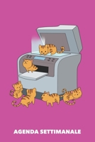 Agenda Settimanale: L'imitazione originale A5 manoscritto floreale - Agenda con Pianificatore Settimanale 52 settimane per Proprietario del Gatto (rosa) (Italian Edition) 1689885971 Book Cover