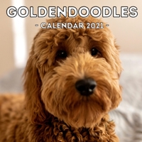 Goldendoodles: 2021 Calendar, Cute Gift Idea For Goldendoodle Lovers Or Owners Men And Women B08SB9M54K Book Cover