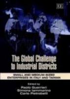 The Global Challenge to Industrial Districts: Small and Medium-sized Enterprises in Italy and Taiwan 1843764873 Book Cover