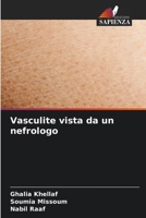 Vasculite vista da un nefrologo 6206869466 Book Cover