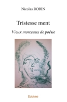 Tristesse ment (French Edition) 2414371900 Book Cover