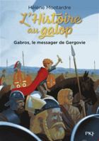 L'Histoire au galop - tome 2 Gabros, le messager de Gergovie (2) 2266314521 Book Cover