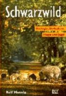 Schwarzwild. Biologie, Verhalten, Hege und Jagd. 3405153808 Book Cover