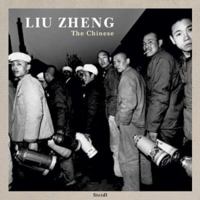 Liu Zheng: The Chinese 3865210376 Book Cover