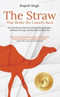 The Straw That Broke the Camel's Back: How I Healed My Back Pain Without Drugs, Surgery, or Physical Therapy and How You Can Do It Too 1737663805 Book Cover