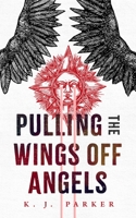 Pulling the Wings Off Angels 1250835763 Book Cover