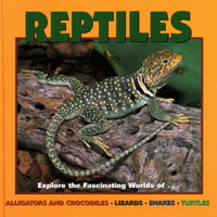 Reptiles: Explore the Fascinating Worlds Of--Alligators and Crocodiles, Lizards, Snakes, Turtles (Our Wild World) 1559718803 Book Cover