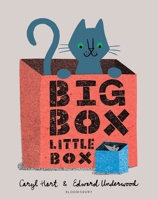 Big Box Little Box 1681197863 Book Cover