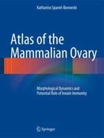 Atlas of the Mammalian Ovary: Morphological Dynamics and Potential Role of Innate Immunity 3642305342 Book Cover