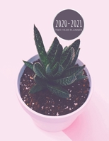 2020-2021 Two Year Planner: Potted Pink Succulent Planner January 1, 2020 to December 31, 2021 Weekly & Monthly Planner + Calendar Views Small Plant 2 Year Calendar 24 Month Agenda Planner Gift For Su 167743497X Book Cover