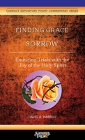 Finding Grace in Sorrow: Enduring Trials with the Joy of the Holy Spirit 1734345284 Book Cover