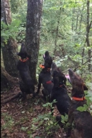 Whispers of the Wildwoods: The Adventures of The Bear Hounds (The Wildwood Pack) B0F3JVJWF9 Book Cover