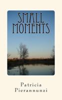 Small Moments 1542978327 Book Cover