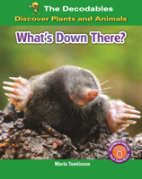 What's Down There? B0GN6J7QR6 Book Cover