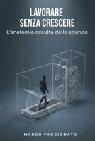 Lavorare senza crescere: L'anatomia occulta delle aziende (Italian Edition) B0GHPP2S65 Book Cover