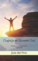 Comfort for the Wounded Soul: (30 Reflections on the Psalms) Psalms 3-46 109730745X Book Cover