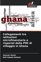 Collegamenti tra istituzioni microfinanziarie e risparmi delle PMI di villaggio in Ghana (Italian Edition) 6208530563 Book Cover