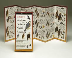 Sibley's Raptors of Eastern North America 1935380176 Book Cover