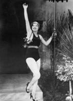Pin-up Grrrls: Feminism, Sexuality, Popular Culture 0822337460 Book Cover