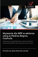 Wyzwanie dla MŚP w sektorze usług w Piedras Negras, Coahuila: Ważne jest, aby zidentyfikować czynniki związane z rentownością MŚP w celu utrzymania się na rynku 6202636807 Book Cover