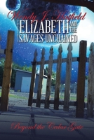 Beyond the Cedar Gate 166554712X Book Cover