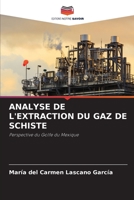 Analyse de l'Extraction Du Gaz de Schiste 6205799804 Book Cover