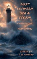 Lost Between Sea & Storm: A Collection of Dark Poetry 1952043190 Book Cover
