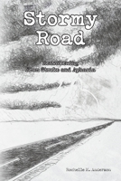 Stormy Road: Reawakening From Stroke and Aphasia B0GFC2BJJP Book Cover