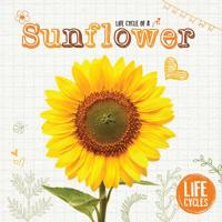 Life Cycle of a Sunflower 1910512494 Book Cover