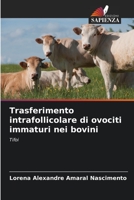Trasferimento intrafollicolare di ovociti immaturi nei bovini: Tifoi 6206014584 Book Cover