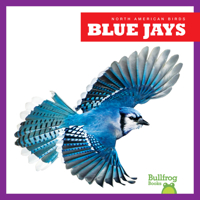 Blue Jays B0CVMZZWP3 Book Cover