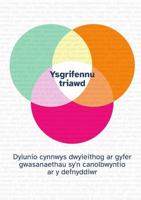 Trio Writing: Designing bilingual content for user-centred services (Welsh Edition) 1447507738 Book Cover